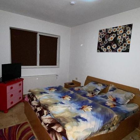 Апартаменты Apartament Cochet Бухарест Экстерьер фото