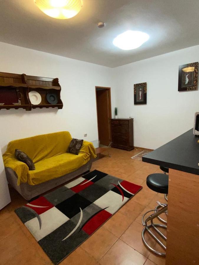 Апартаменты Apartament Cochet Бухарест Экстерьер фото