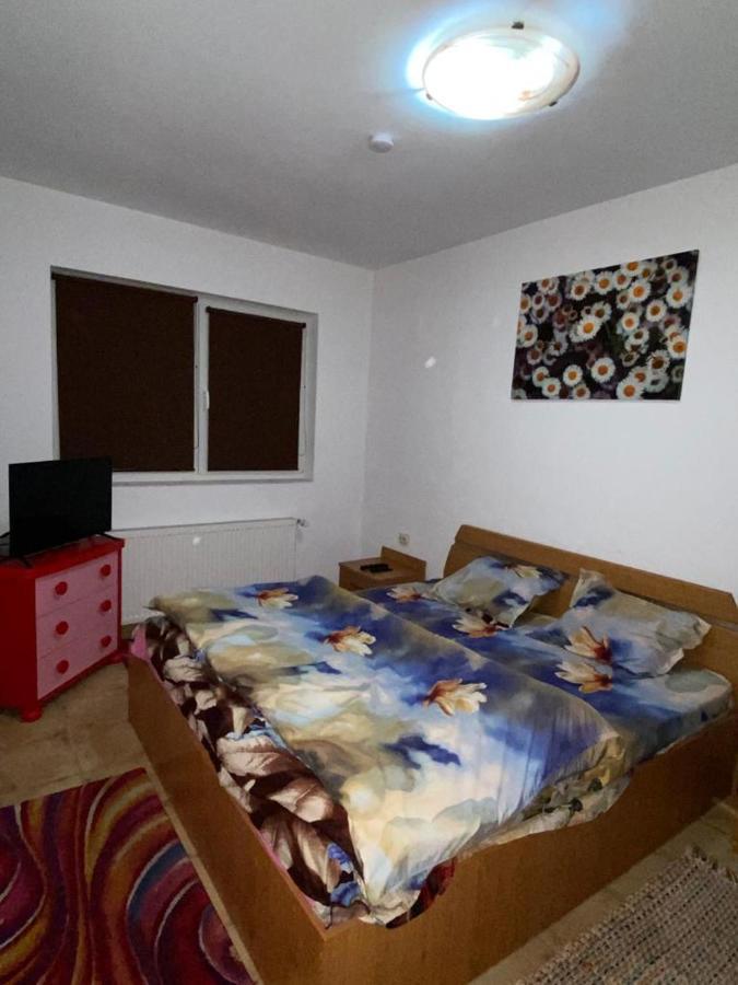 Апартаменты Apartament Cochet Бухарест Экстерьер фото