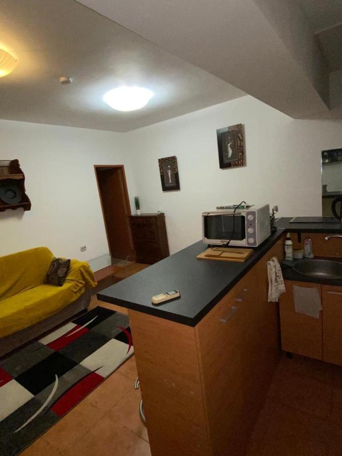 Апартаменты Apartament Cochet Бухарест Экстерьер фото